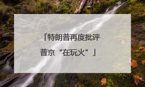 特朗普再度批评普京“在玩火”