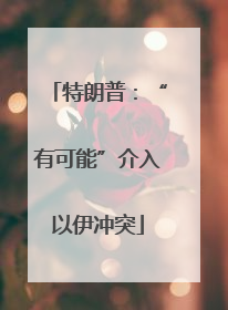 特朗普：“有可能”介入以伊冲突