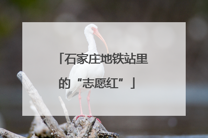 石家庄地铁站里的“志愿红”
