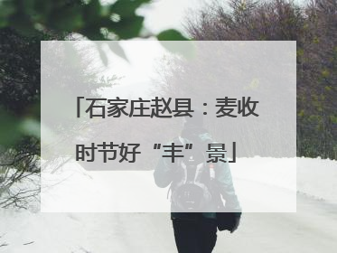 石家庄赵县：麦收时节好“丰”景