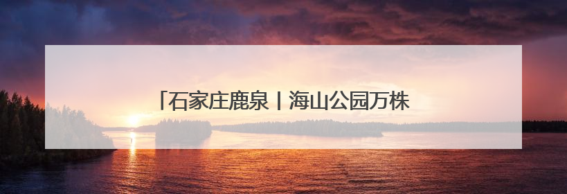 石家庄鹿泉丨海山公园万株荷花绽放 开启夏日赏荷季