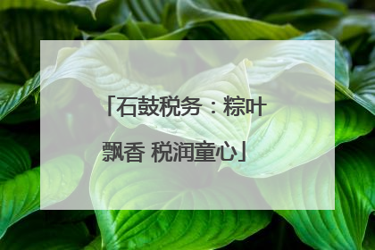 石鼓税务：粽叶飘香 税润童心