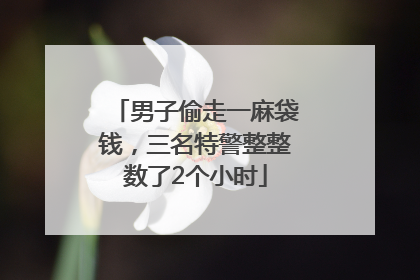 男子偷走一麻袋钱，三名特警整整数了2个小时