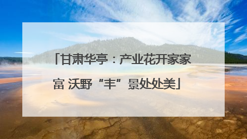 甘肃华亭：产业花开家家富 沃野“丰”景处处美