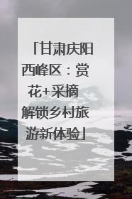 甘肃庆阳西峰区：赏花+采摘 解锁乡村旅游新体验