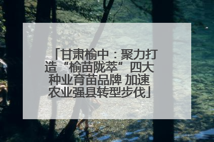 甘肃榆中：聚力打造“榆苗陇萃”四大种业育苗品牌 加速农业强县转型步伐