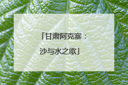 甘肃阿克塞：沙与水之歌