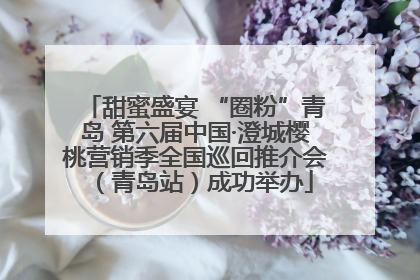甜蜜盛宴 “圈粉”青岛 第六届中国·澄城樱桃营销季全国巡回推介会（青岛站）成功举办