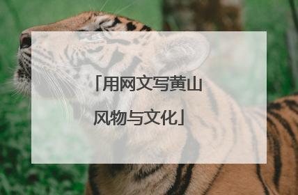 用网文写黄山风物与文化