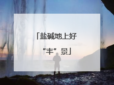 盐碱地上好“丰”景