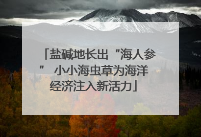 盐碱地长出“海人参” 小小海虫草为海洋经济注入新活力