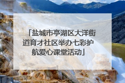 盐城市亭湖区大洋街道育才社区举办七彩护航爱心课堂活动