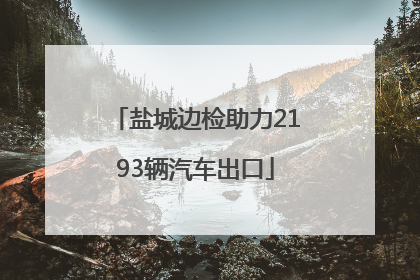 盐城边检助力2193辆汽车出口