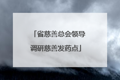 省慈善总会领导调研慈善发药点