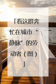 看这群奔忙在城市“静脉”的劳动者（图）