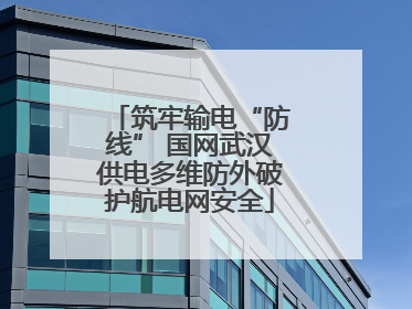 筑牢输电“防线” 国网武汉供电多维防外破护航电网安全