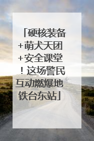 硬核装备+萌犬天团+安全课堂！这场警民互动燃爆地铁台东站