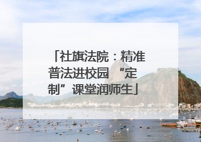 社旗法院：精准普法进校园 “定制”课堂润师生