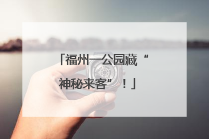 福州一公园藏“神秘来客”！