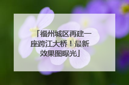 福州城区再建一座跨江大桥！最新效果图曝光