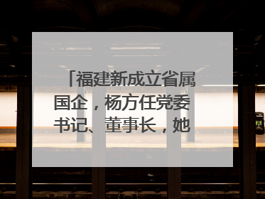 福建新成立省属国企，杨方任党委书记、董事长，她曾任宁德市委副书记｜张田怡已任县委副书记、县政府党组书记