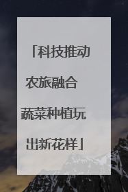 科技推动农旅融合 蔬菜种植玩出新花样
