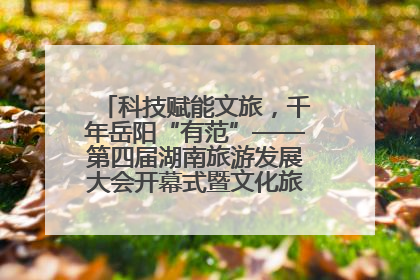 科技赋能文旅，千年岳阳“有范”——第四届湖南旅游发展大会开幕式暨文化旅游推介会侧记