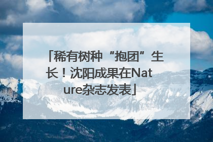 稀有树种“抱团”生长！沈阳成果在Nature杂志发表