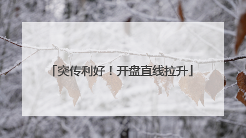突传利好！开盘直线拉升