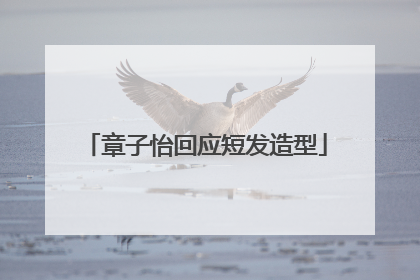 章子怡回应短发造型