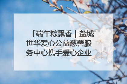 端午粽飘香｜盐城世华爱心公益慈善服务中心携手爱心企业发起情暖“城市守护者”慰问活动