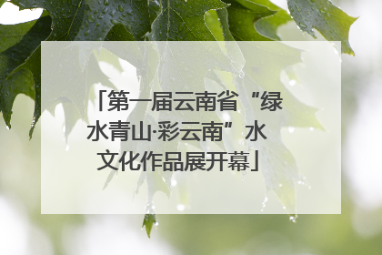 第一届云南省“绿水青山·彩云南”水文化作品展开幕