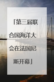 第三届联合国海洋大会在法国尼斯开幕