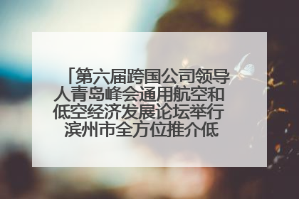 第六届跨国公司领导人青岛峰会通用航空和低空经济发展论坛举行 滨州市全方位推介低空经济发展优势