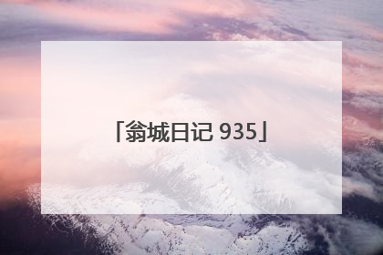 翁城日记 935