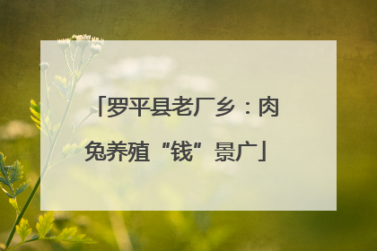 罗平县老厂乡：肉兔养殖“钱”景广