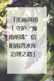 美丽河南丨守护“豫南明珠”信阳南湾水库治理之路