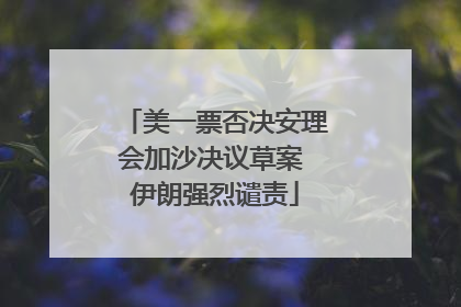 美一票否决安理会加沙决议草案 伊朗强烈谴责