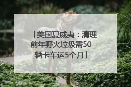 美国夏威夷：清理前年野火垃圾需50辆卡车运5个月