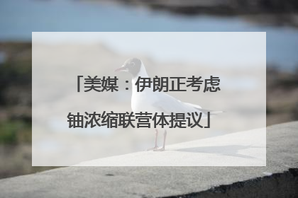 美媒：伊朗正考虑铀浓缩联营体提议