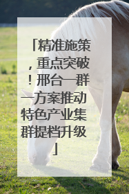 精准施策，重点突破！邢台一群一方案推动特色产业集群提档升级