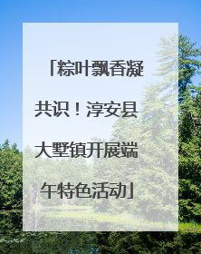 粽叶飘香凝共识！淳安县大墅镇开展端午特色活动