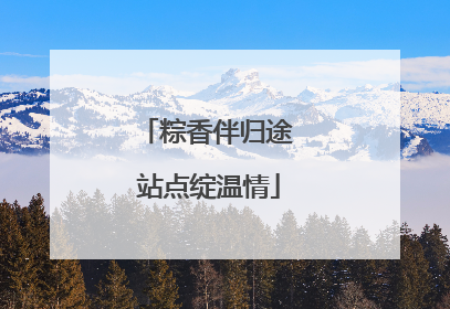 粽香伴归途 站点绽温情