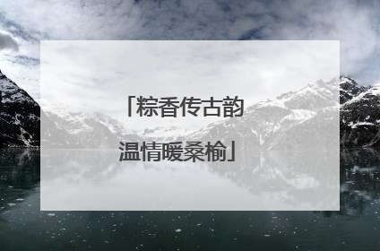 粽香传古韵 温情暖桑榆