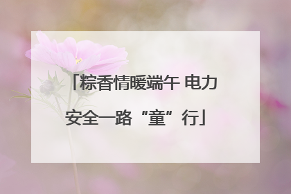 粽香情暖端午 电力安全一路“童”行