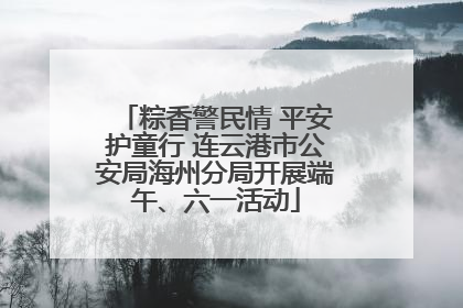 粽香警民情 平安护童行 连云港市公安局海州分局开展端午、六一活动