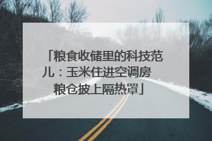 粮食收储里的科技范儿：玉米住进空调房 粮仓披上隔热罩
