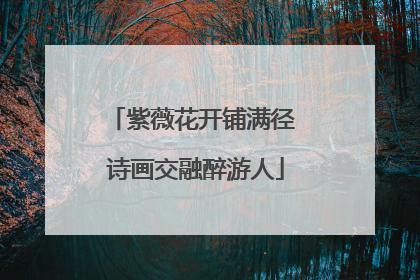 紫薇花开铺满径 诗画交融醉游人