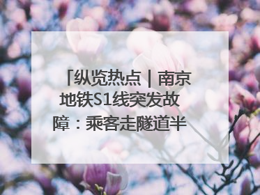 纵览热点｜南京地铁S1线突发故障：乘客走隧道半个多小时才出站，地铁方称造成误机会解决处理