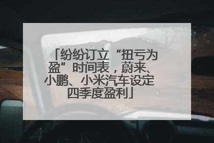 纷纷订立“扭亏为盈”时间表，蔚来、小鹏、小米汽车设定四季度盈利